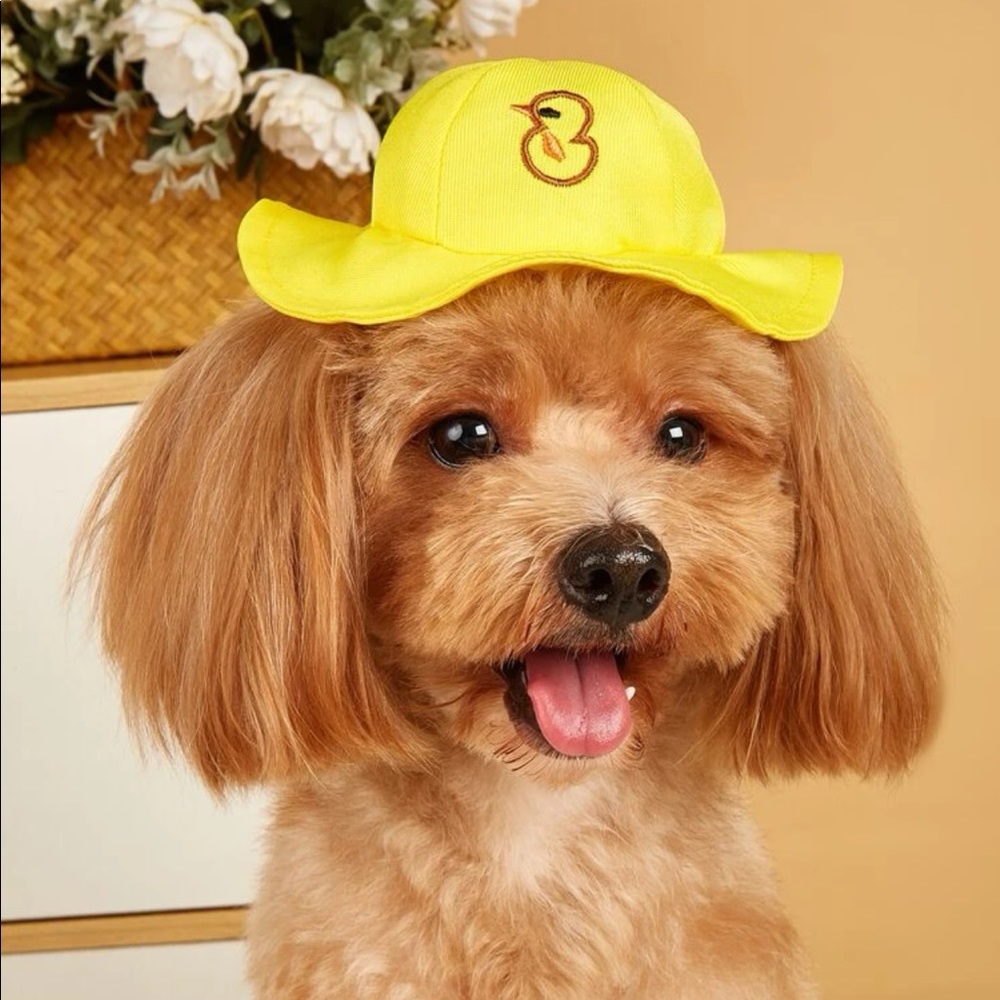 Duck Design Pet Headwear 🐈